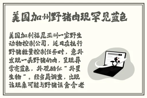 榴莲视频下载安装安卓入口